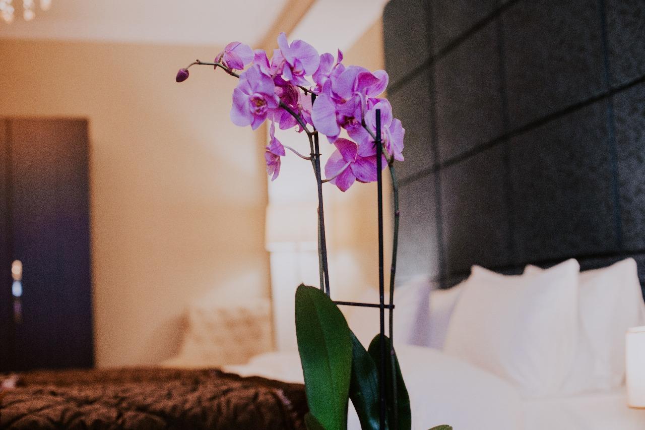 Viva Boutique Hotel Baku Extérieur photo